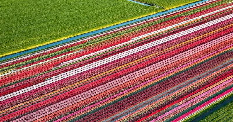 Instagram.com/Arden_nl